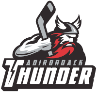 adirondack thunder log