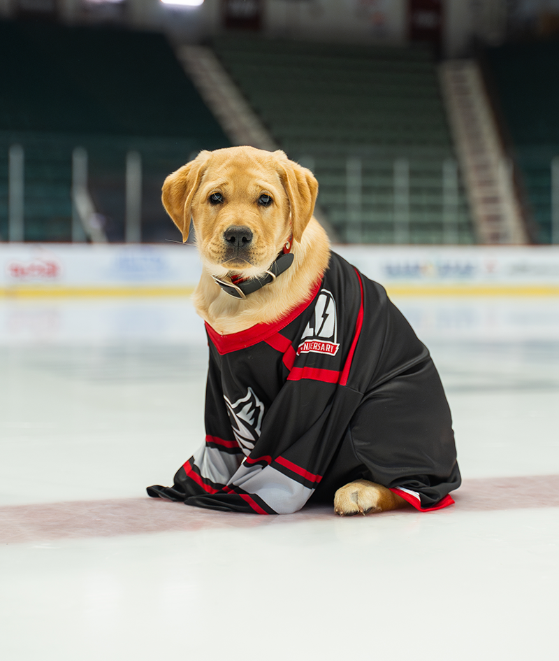 stormy on ice